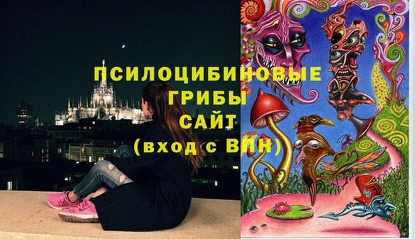 mix Алексин