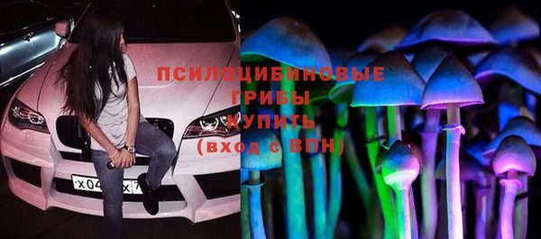 винт Алексеевка