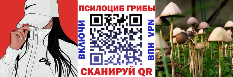 Псилоцибиновые грибы прущие грибы  это клад  Лахденпохья  дарнет шоп  omg онион 